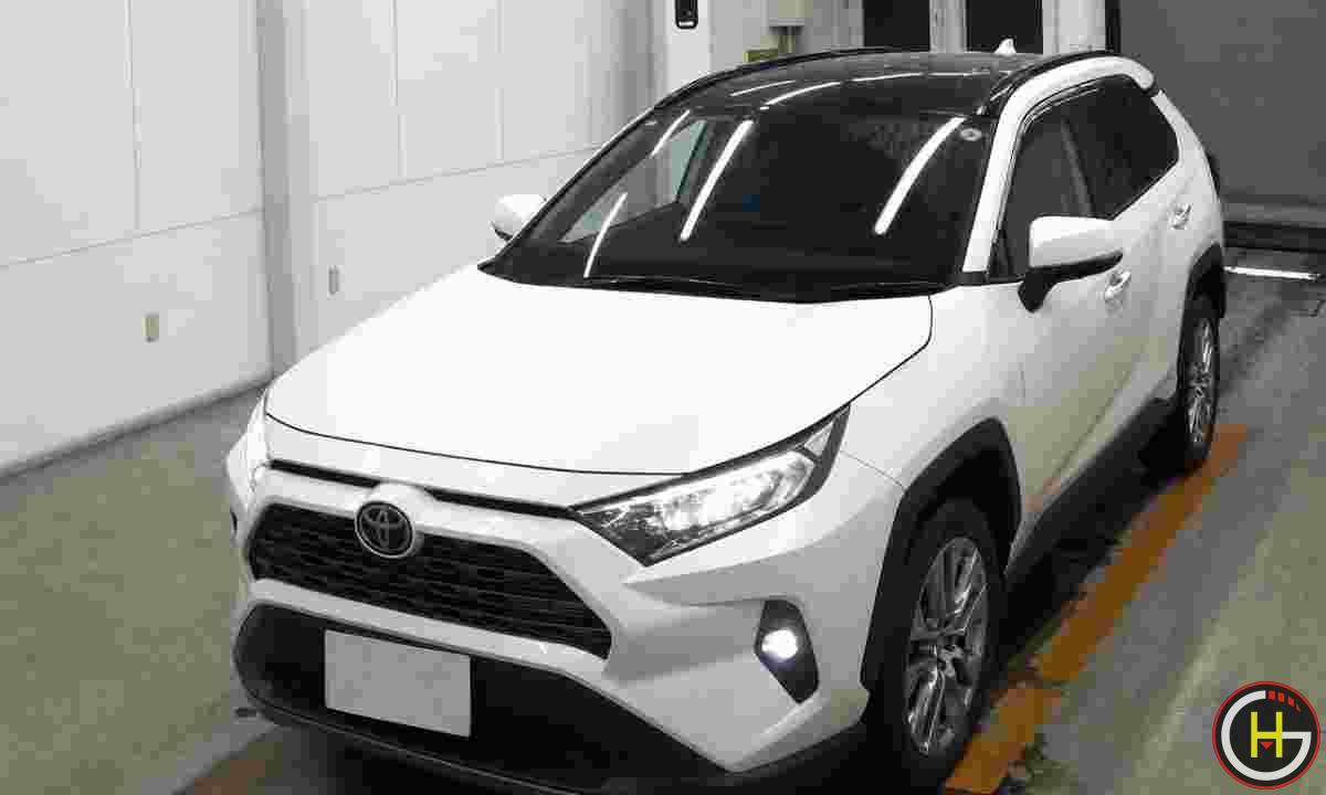 rav42.png